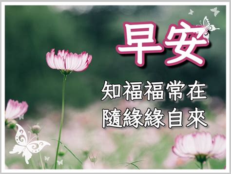 下雨 長輩圖|長輩圖生成器